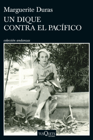 UN DIQUE CONTRA EL PACÍFICO