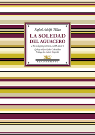 LA SOLEDAD DEL AGUACERO
