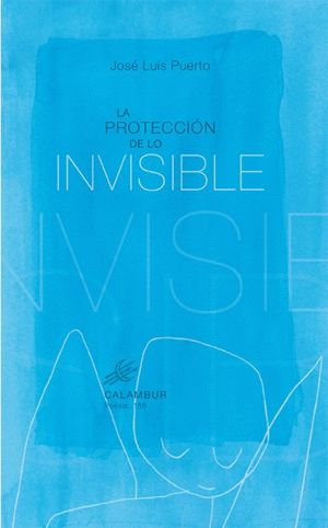 PROTECCION DE LO INVISIBLE (POESÍA)
