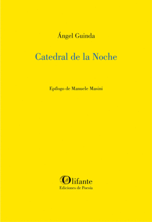 CATEDRAL DE LA NOCHE