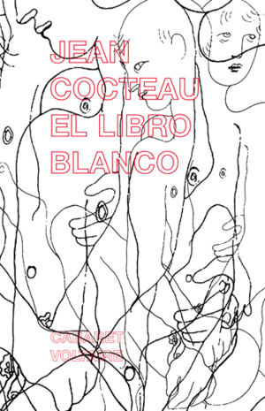 EL LIBRO BLANCO (LIBRO ILUSTRADO)
