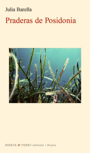 PRADERAS DE POSIDONIA