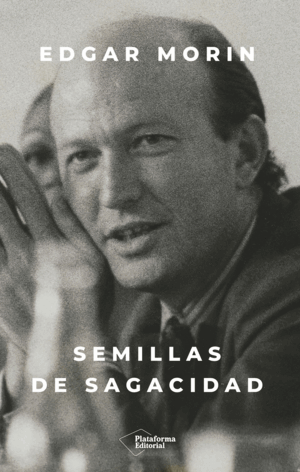 SEMILLAS DE SAGACIDAD