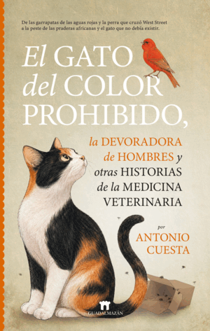 EL GATO DEL COLOR PROHIBIDO, LA DEVORADORA DE HOMBRES Y OTRAS HISTORIAS DE LA ME